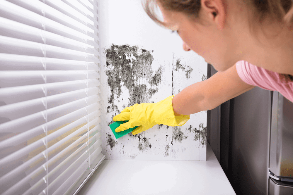 The Best Ways to Clean Mould in Dubai