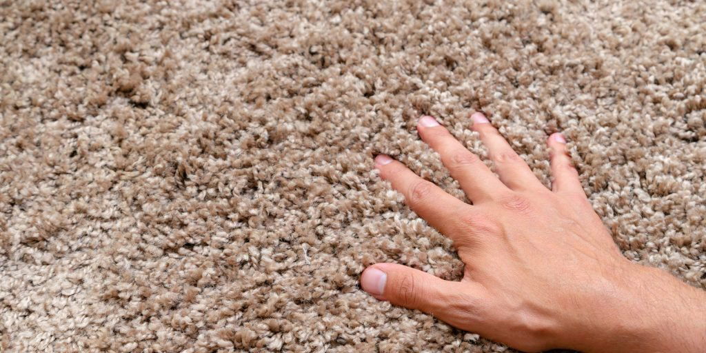 How Long Does carpet last
