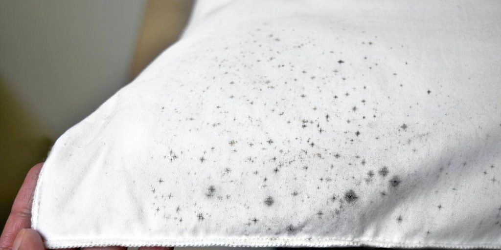 How to Get Rid of Mold on Clothes